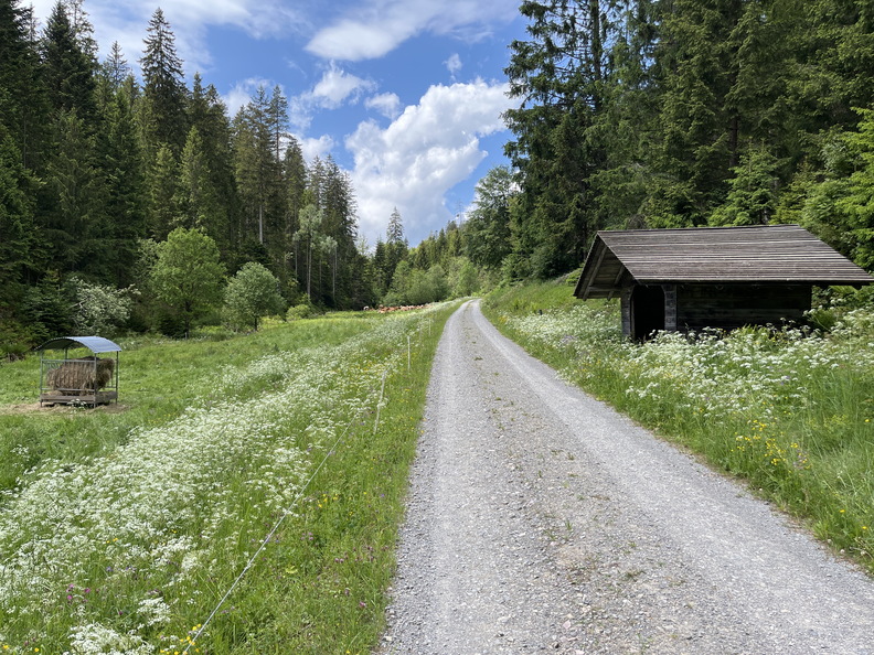 22-05-29 12-52-06 0966